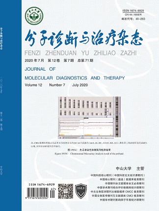 游艇会·yth206(中国)最新官方网站