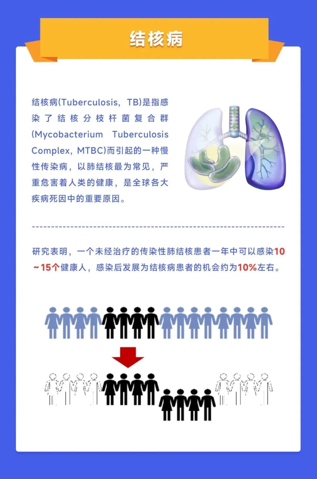 游艇会·yth206(中国)最新官方网站