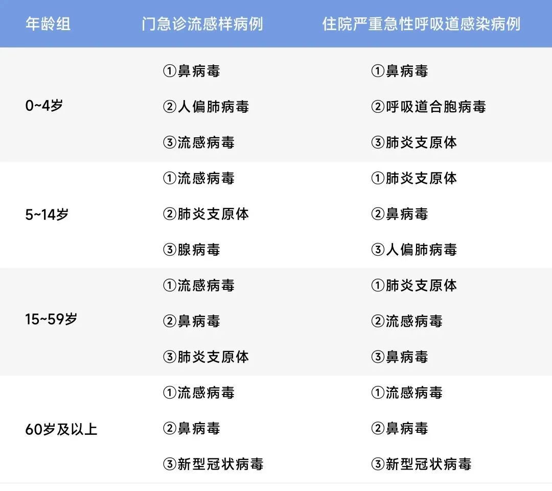 游艇会·yth206(中国)最新官方网站