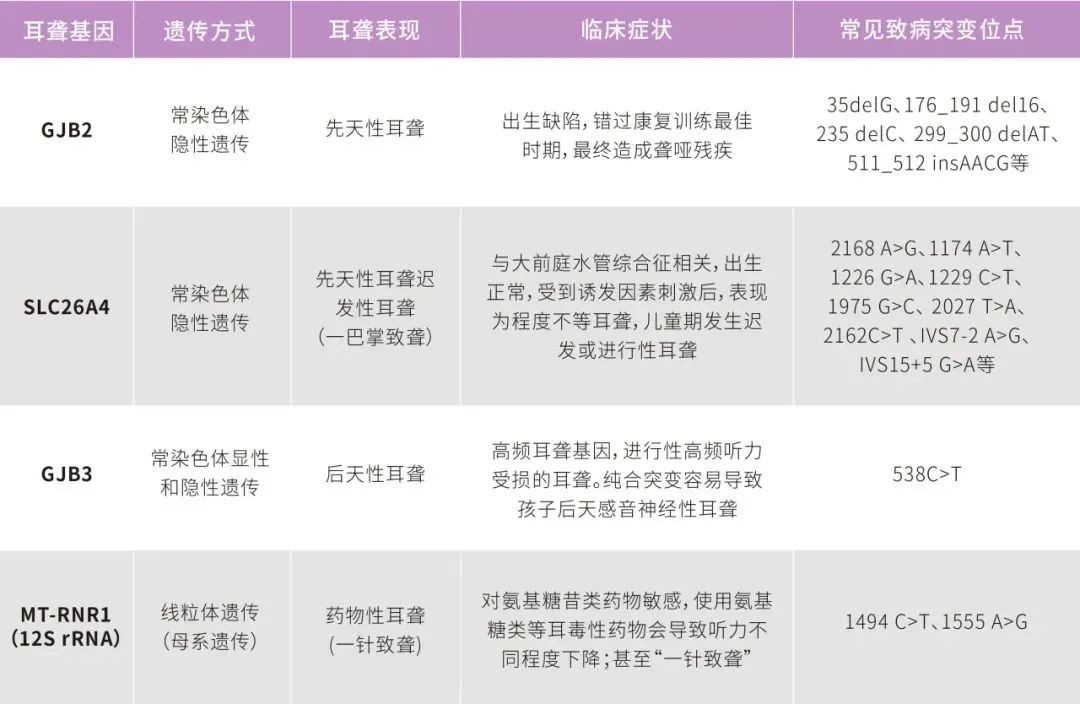 游艇会·yth206(中国)最新官方网站