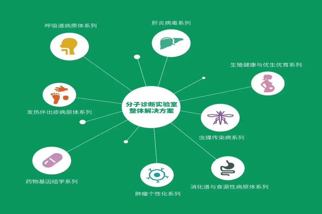 游艇会·yth206(中国)最新官方网站