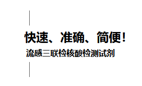游艇会·yth206(中国)最新官方网站