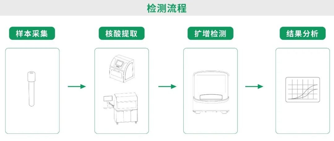 游艇会·yth206(中国)最新官方网站
