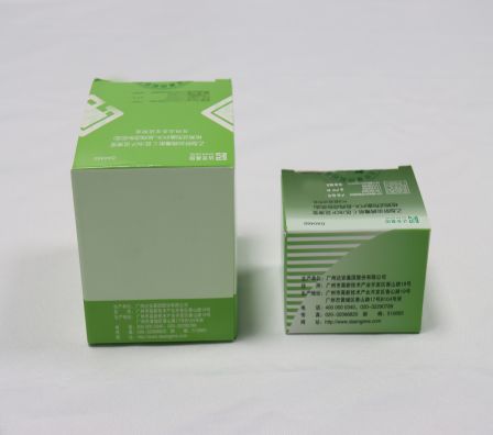 游艇会·yth206(中国)最新官方网站